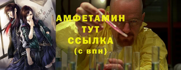 шишки Медвежьегорск