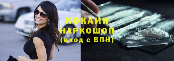 шишки Медвежьегорск