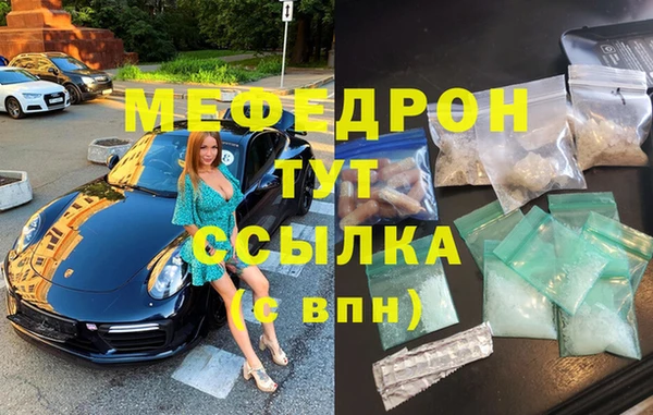 шишки Медвежьегорск