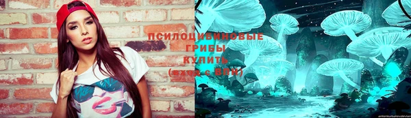 apvp Мегион