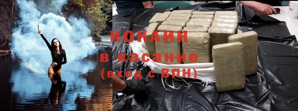 шишки Медвежьегорск