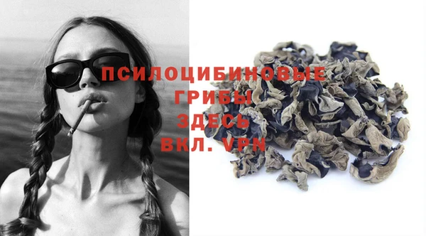 шишки Медвежьегорск