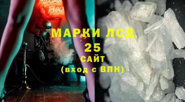 шишки Медвежьегорск